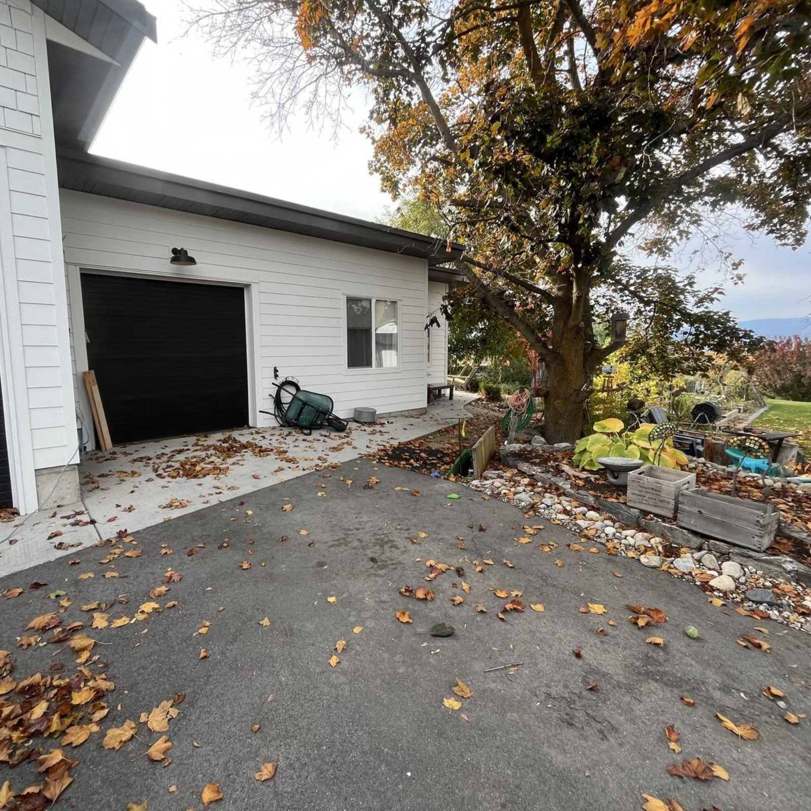 house-and-garden-tree-removal-with-leaves-on-ground
