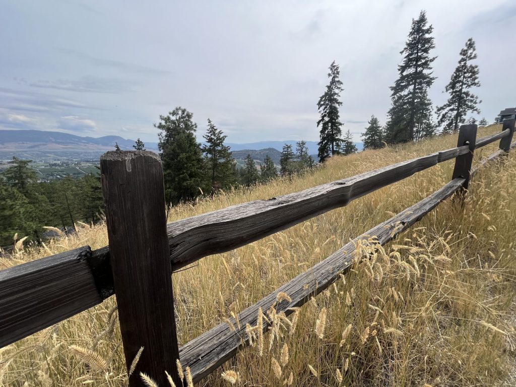 tree cutting in field with wooden fence and landscape